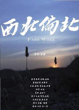 情欲与谎言：德国人与性