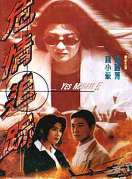 最后的警察(法国版) 第二季