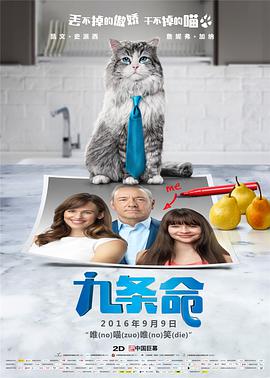 老前辈