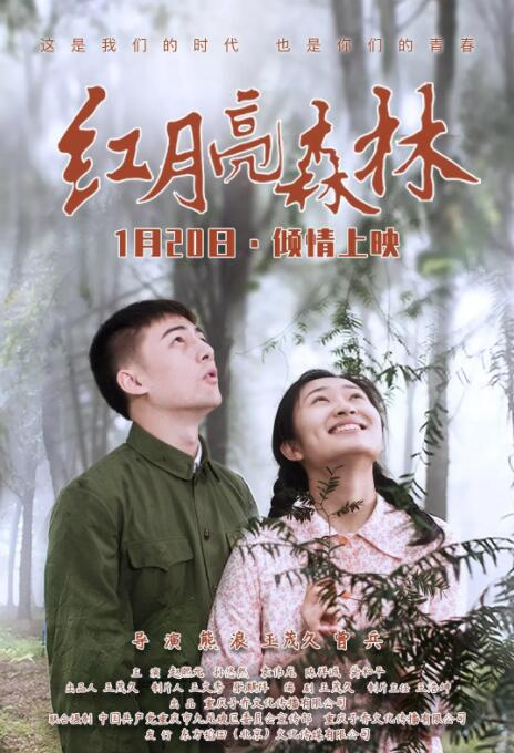 猫鼠游戏