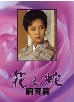 问题儿童都来自异世界?