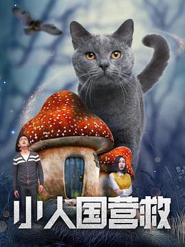 小飞侠