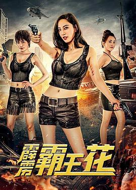 小刺猬与魔法石