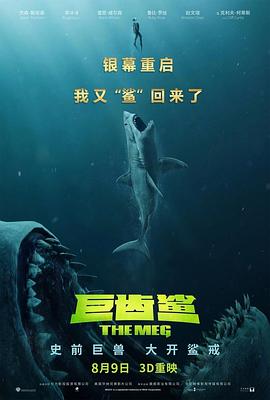 不疯不狂不爱你