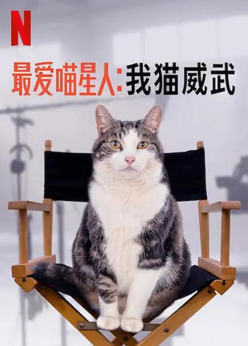 女巫档案