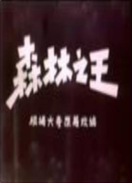 蝙蝠侠大战双面人