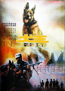 大毒枭 2001
