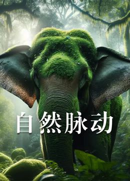 黑马王子