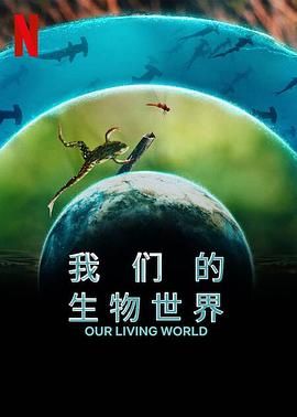 茲拉坦足球風雲錄
