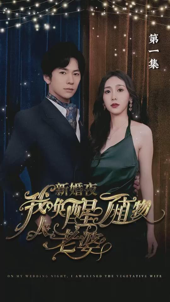 辛普森一家 第二十九季