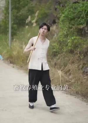 不只是语言