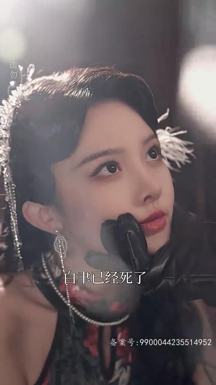 一妻两夫
