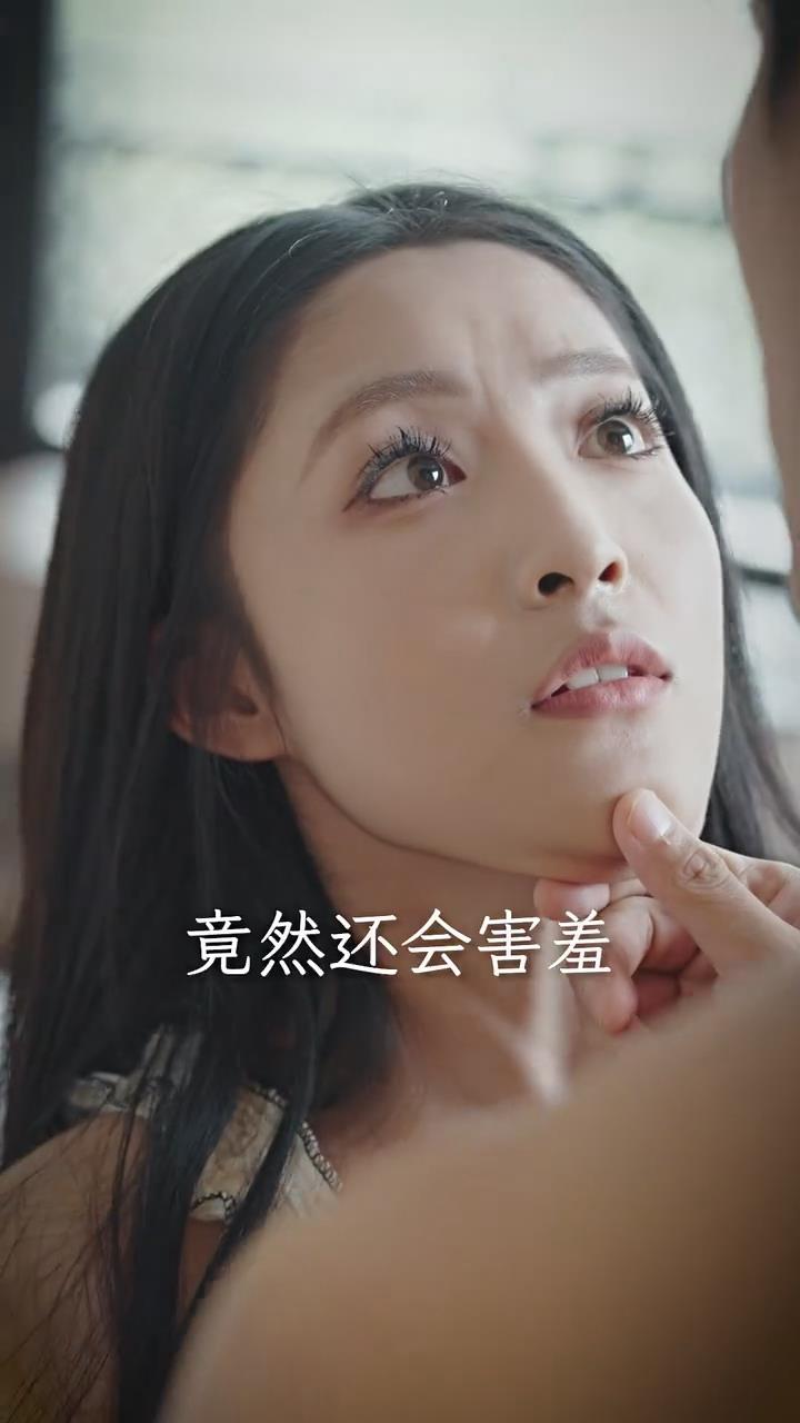 家的港湾 第六季