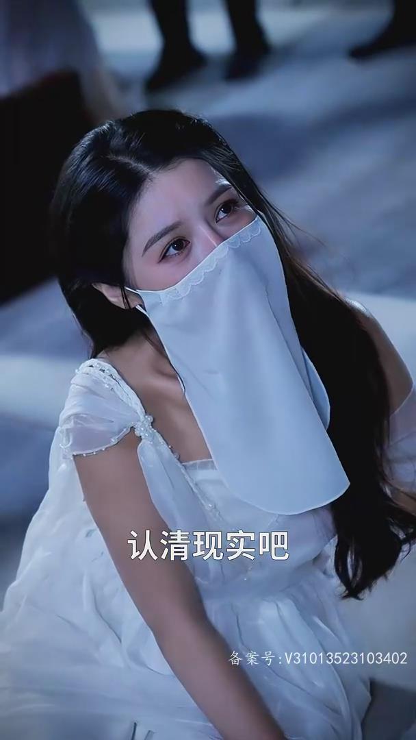 三毛从军记