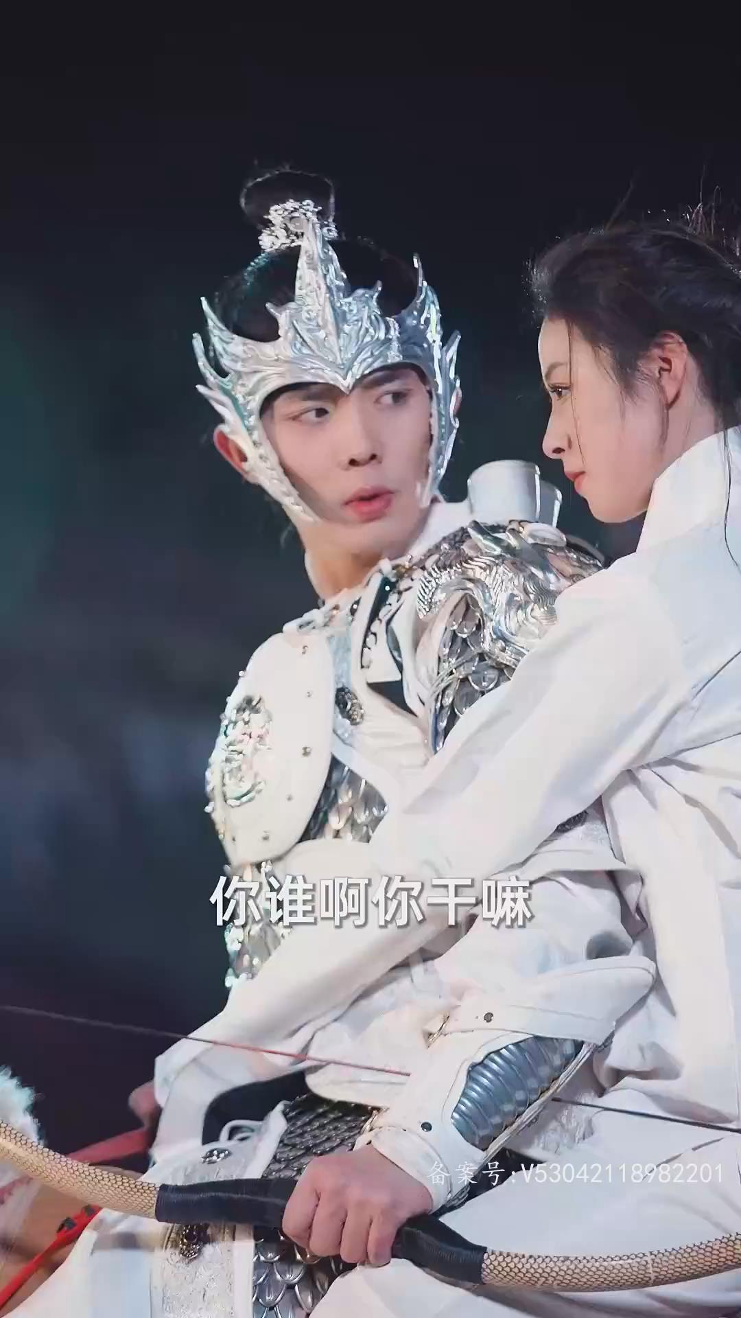 纳粹特攻队