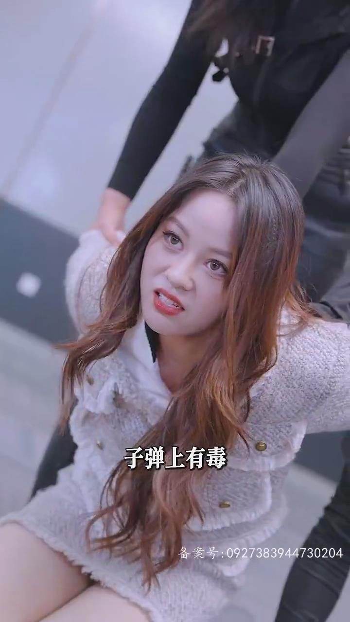 跨国大追捕：千里追逃