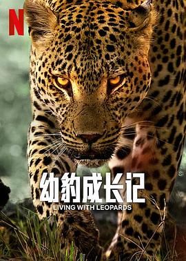 美丽的星期天