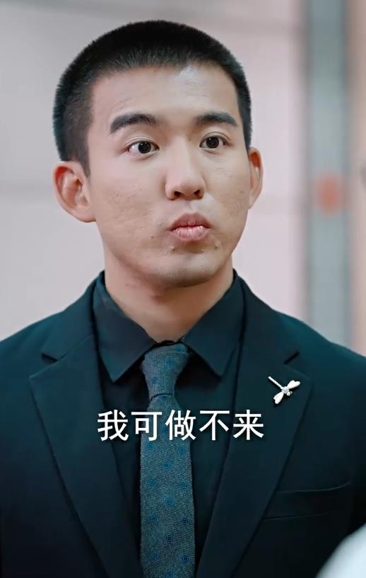 总裁的闪婚娇妻2
