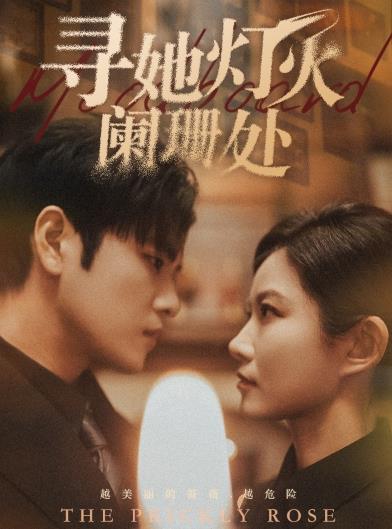 圣诞奇妙公司(普通话版)