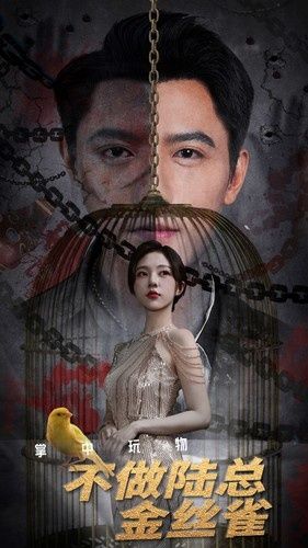 女人如歌