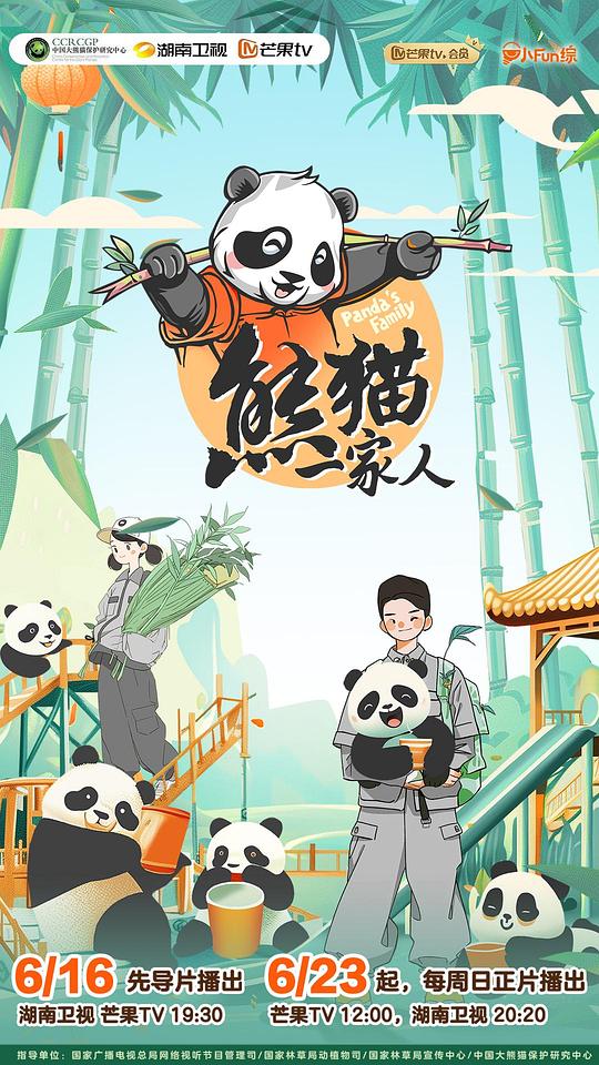 精灵宝可梦：结晶塔的帝王