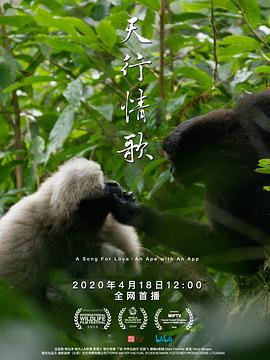 决战猩球2001国语