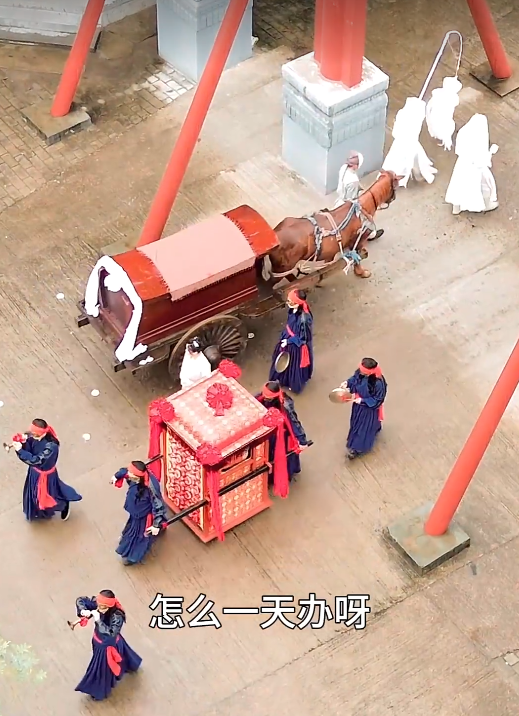 豹纹