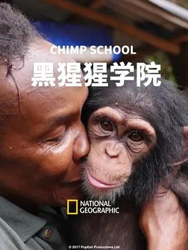 活力太阳