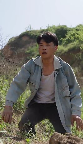 蒲公英 1985