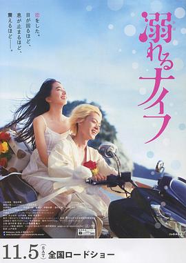 无敌当家6：明星贝多芬