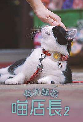 疯狂兔宝宝