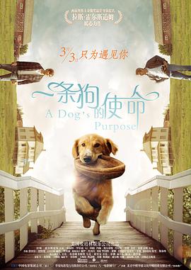 你还好吗2019