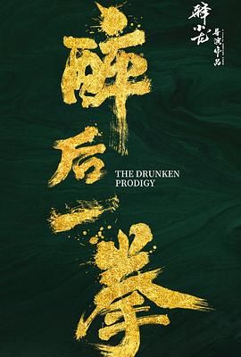 盗影谜情