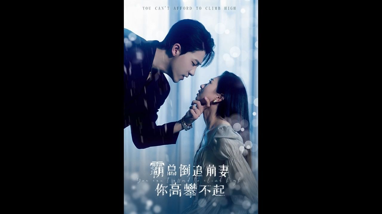 诺维茨基：完美的投篮