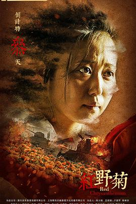 功夫小兔侠