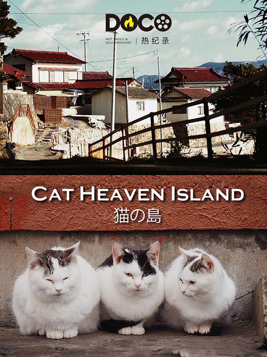 灵书妙探 第六季