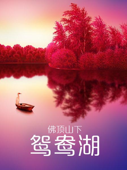 权贵幻觉