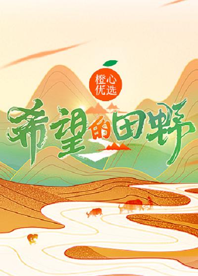 大叔的爱2016