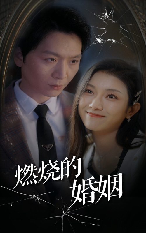 吸血飞蛾